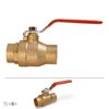 Everflow SWT Gas Ball Valve, Brass 3/4" 300C034